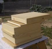 bee hive